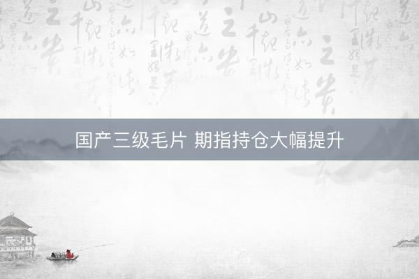 国产三级毛片 期指持仓大幅提升