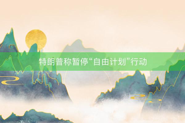 特朗普称暂停“自由计划”行动
