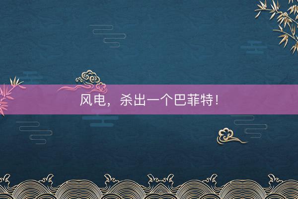 风电，杀出一个巴菲特！