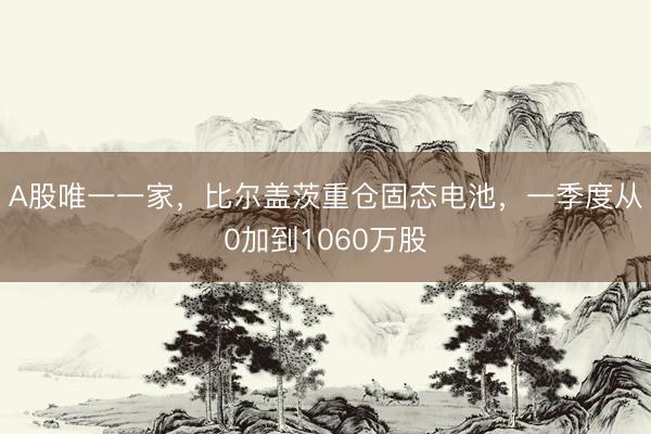 A股唯一一家，比尔盖茨重仓固态电池，一季度从0加到1060万股