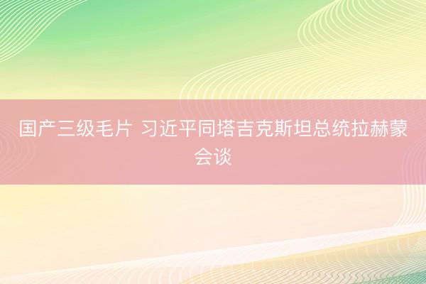 国产三级毛片 习近平同塔吉克斯坦总统拉赫蒙会谈
