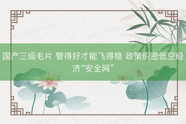 国产三级毛片 管得好才能飞得稳 政策织密低空经济“安全网”