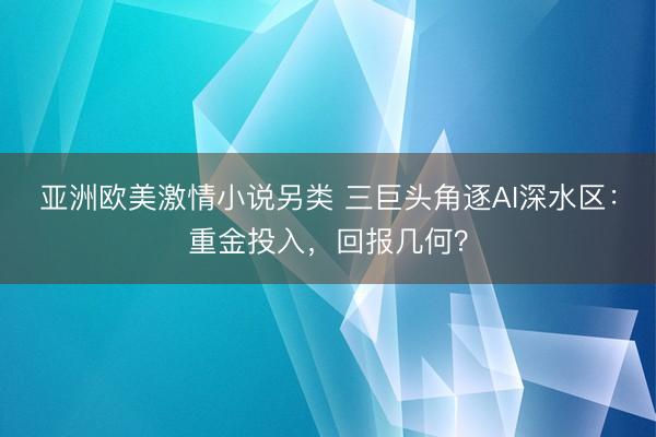 亚洲欧美激情小说另类 三巨头角逐AI深水区：重金投入，回报几何？
