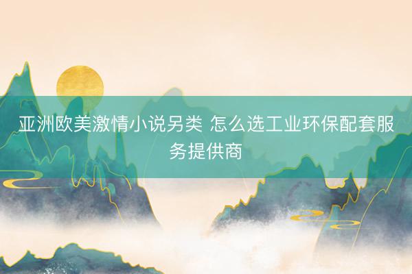 亚洲欧美激情小说另类 怎么选工业环保配套服务提供商