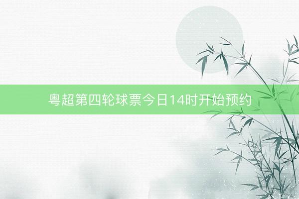 粤超第四轮球票今日14时开始预约