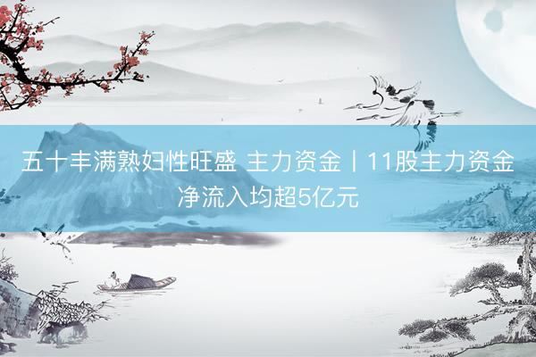五十丰满熟妇性旺盛 主力资金丨11股主力资金净流入均超5亿元