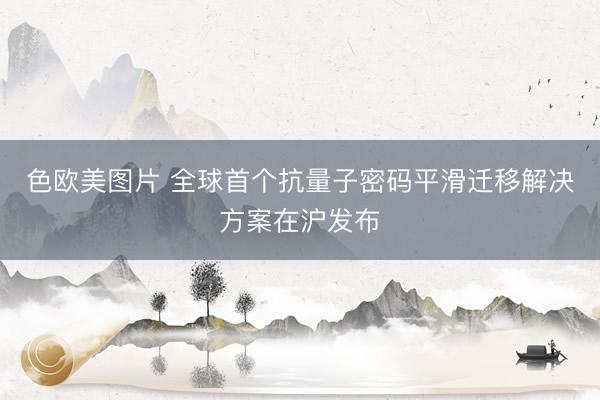 色欧美图片 全球首个抗量子密码平滑迁移解决方案在沪发布
