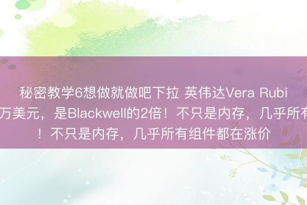 秘密教学6想做就做吧下拉 英伟达Vera Rubin机架售价780万美元，是Blackwell的2倍！不只是内存，几乎所有组件都在涨价