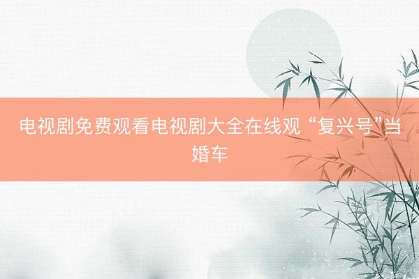 电视剧免费观看电视剧大全在线观 “复兴号”当婚车