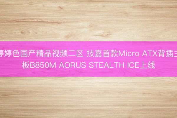 婷婷色国产精品视频二区 技嘉首款Micro ATX背插主板B850M AORUS STEALTH ICE上线
