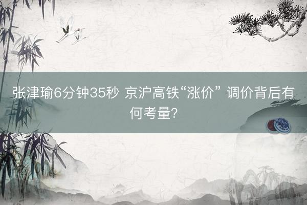 张津瑜6分钟35秒 京沪高铁“涨价” 调价背后有何考量?