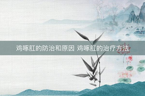 鸡啄肛的防治和原因 鸡啄肛的治疗方法
