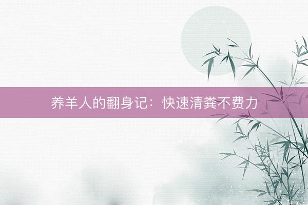 养羊人的翻身记：快速清粪不费力