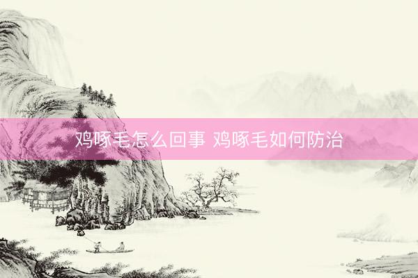 鸡啄毛怎么回事 鸡啄毛如何防治