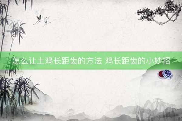 怎么让土鸡长距齿的方法 鸡长距齿的小妙招