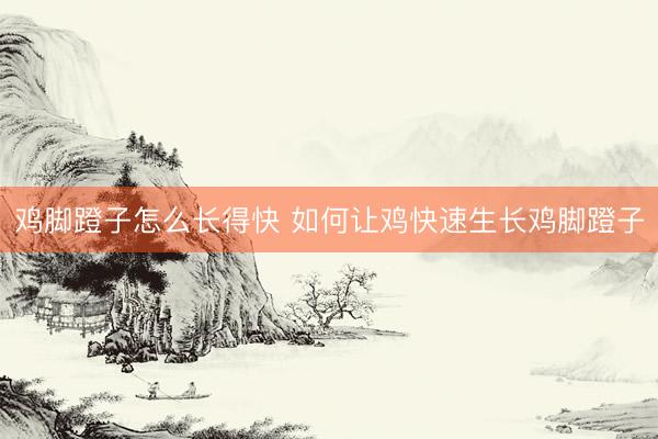 鸡脚蹬子怎么长得快 如何让鸡快速生长鸡脚蹬子