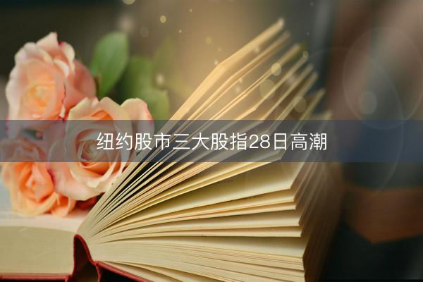 纽约股市三大股指28日高潮