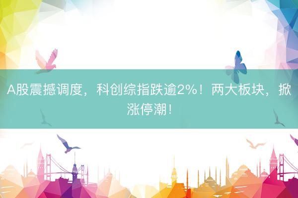 A股震撼调度，科创综指跌逾2%！两大板块，掀涨停潮！