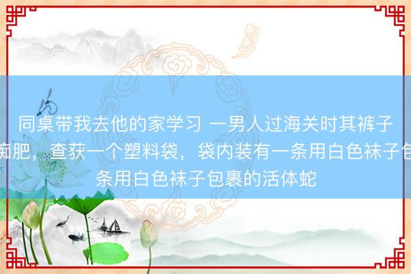 同桌带我去他的家学习 一男人过海关时其裤子后口袋额外痴肥，查获一个塑料袋，袋内装有一条用白色袜子包裹的活体蛇