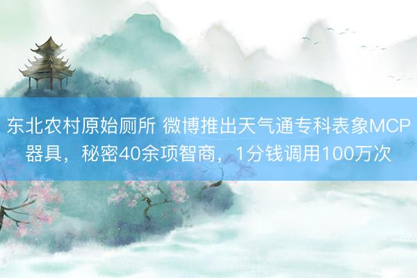 东北农村原始厕所 微博推出天气通专科表象MCP器具，秘密40余项智商，1分钱调用100万次
