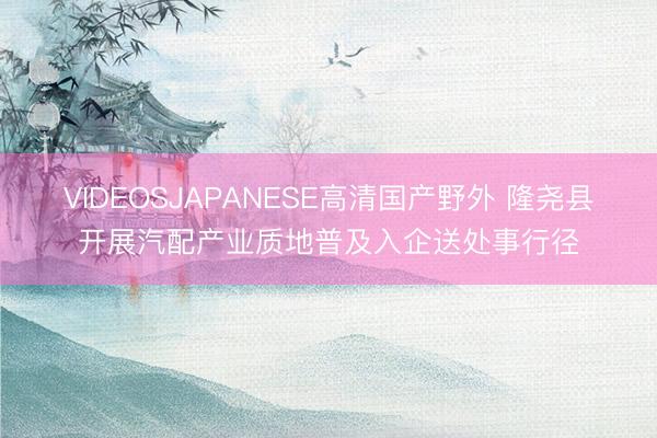 VIDEOSJAPANESE高清国产野外 隆尧县开展汽配产业质地普及入企送处事行径