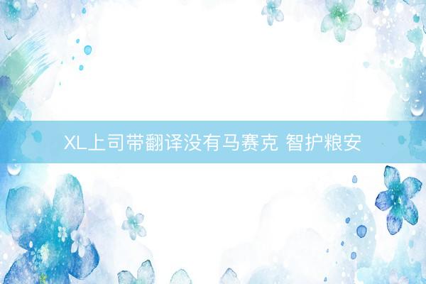 XL上司带翻译没有马赛克 智护粮安
