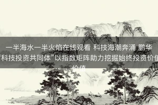 一半海水一半火焰在线观看 科技海潮奔涌 鹏华“科技投资共同体”以指数矩阵助力挖掘始终投资价值