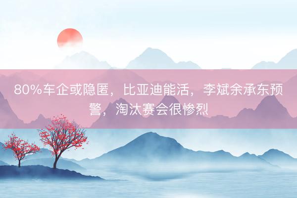 80%车企或隐匿，比亚迪能活，李斌余承东预警，淘汰赛会很惨烈